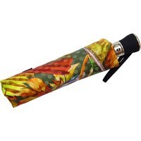 Зонт Doppler Полный автомат 34519/109/50